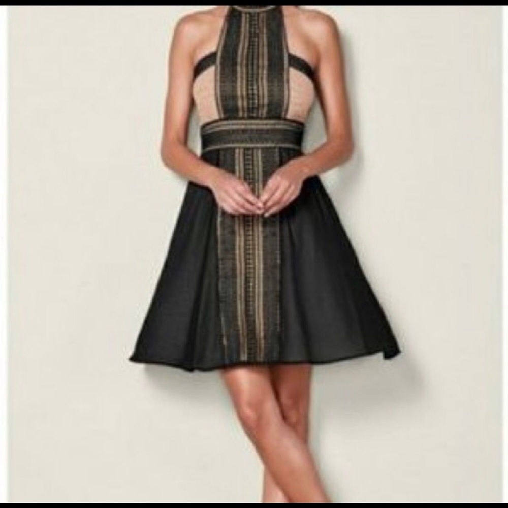 VENUS Black and Beige Halter Dress